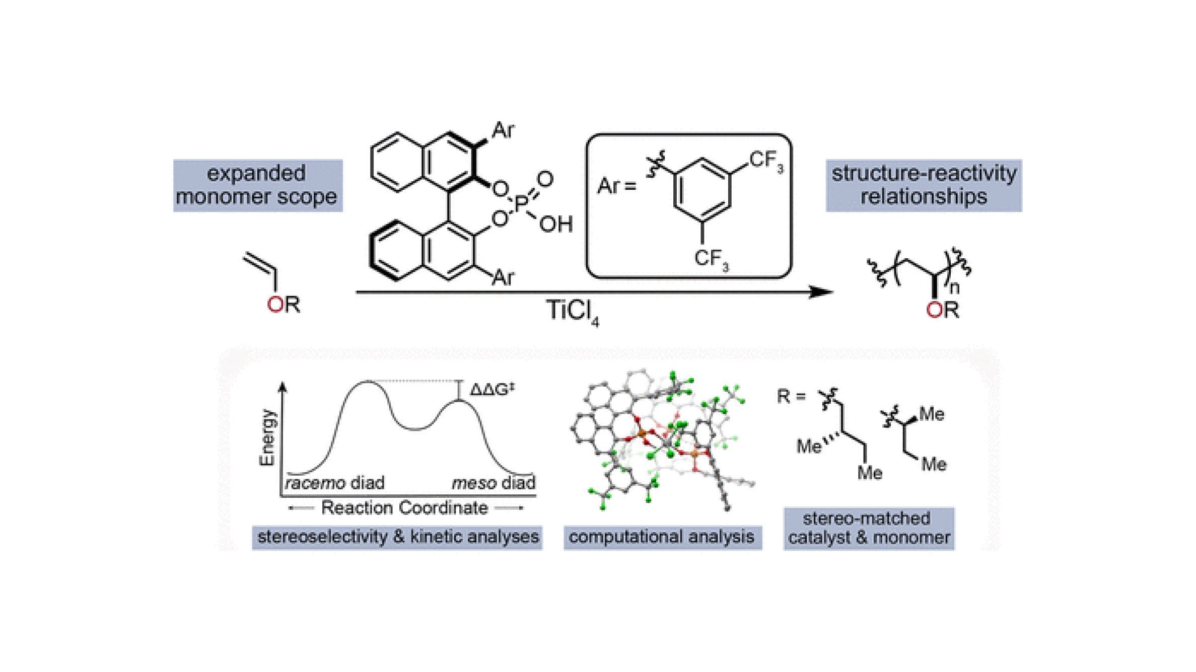 Expanded monomer scope, structure-reactivity relationships, stereoselectivity & kinetic analyses, computational analysis, and stereo-matched catalyst & monomer