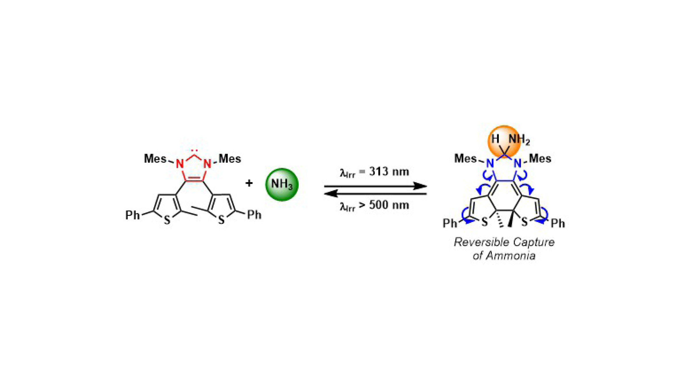 Reversible capture of ammonia