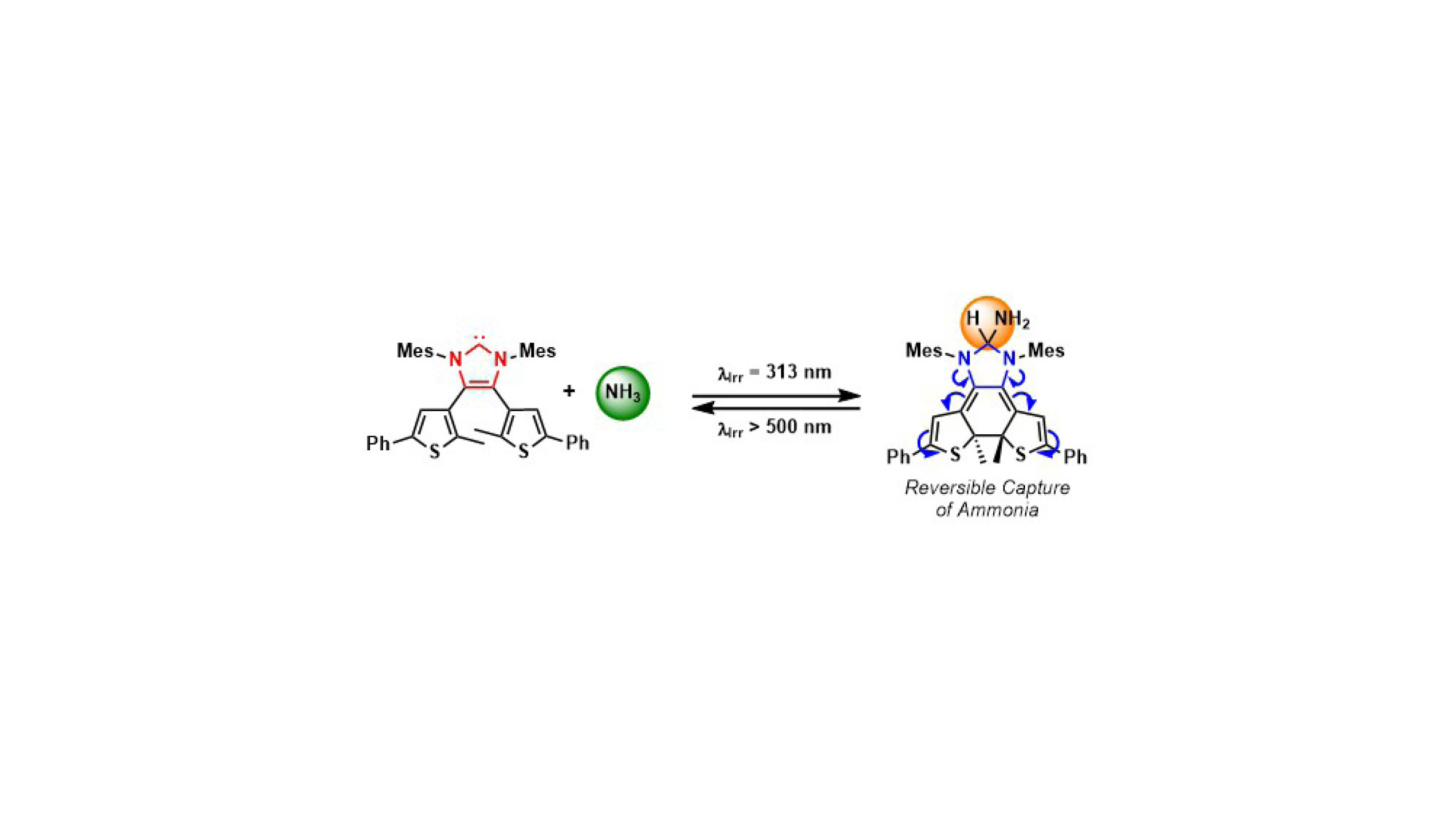 Reversible capture of ammonia