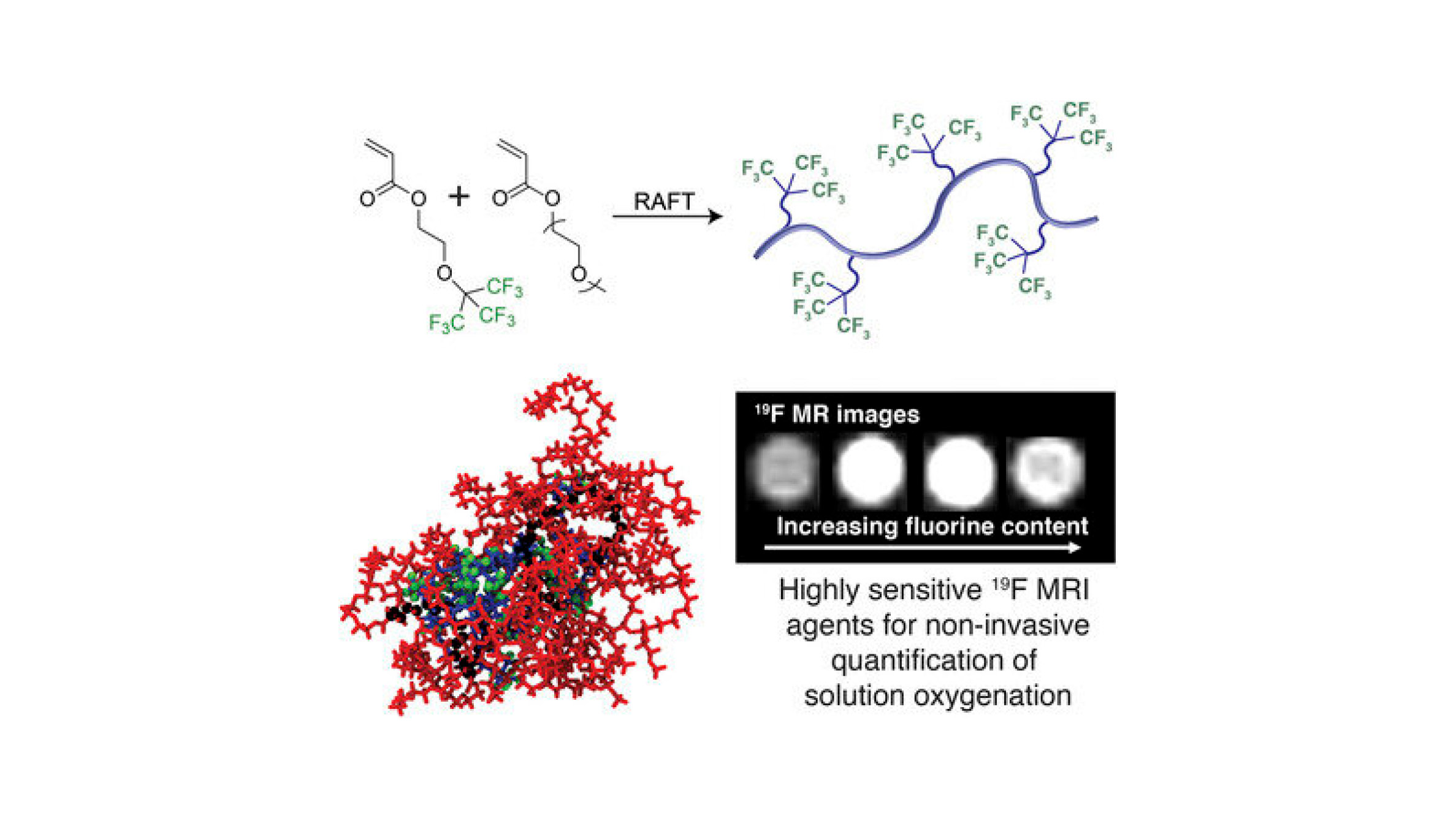 Highly sensitive 19F MRI agents for non-invasive quantification of solution oxygenation