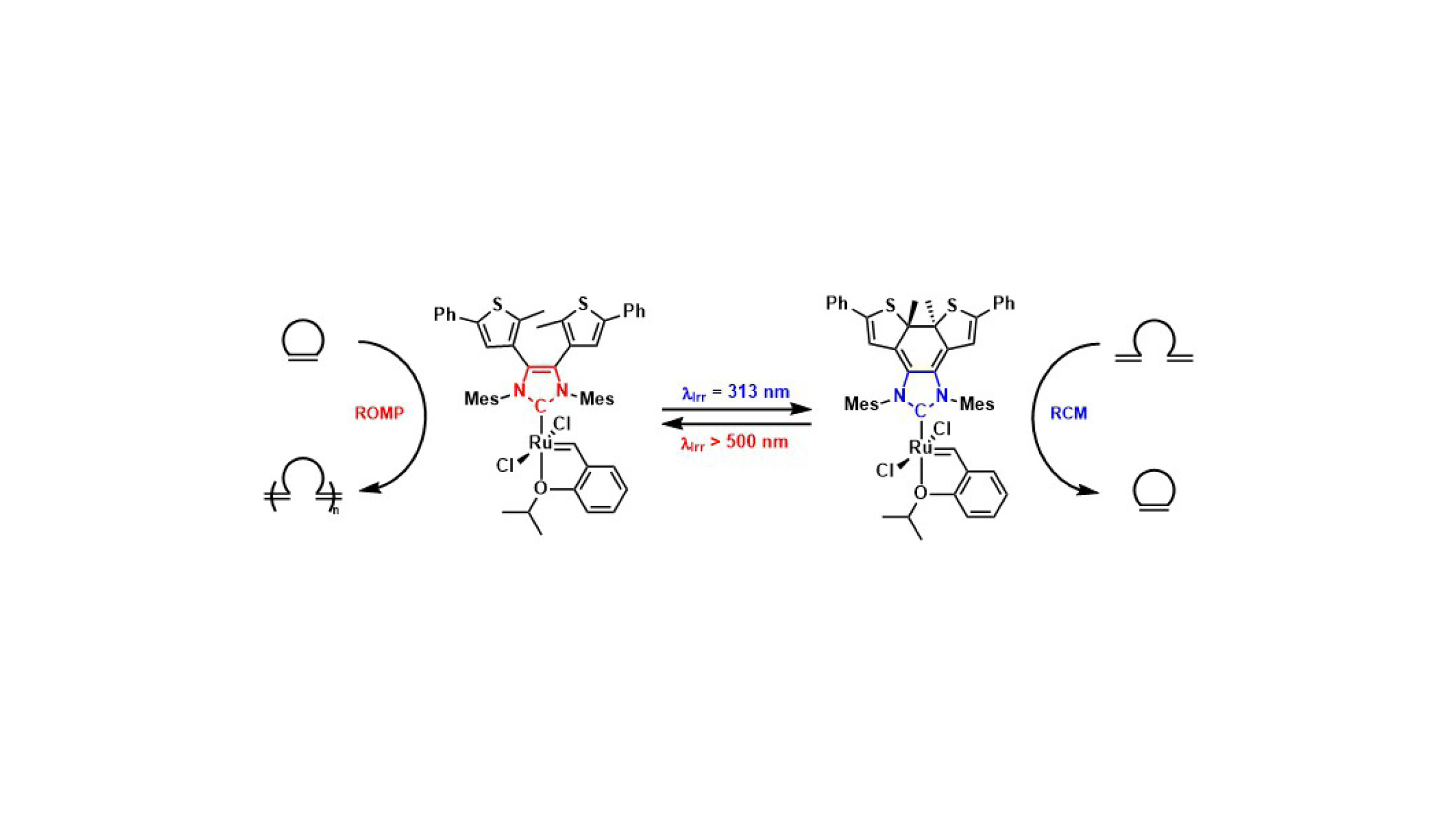 A Photoswitchable Olefin Metathesis Catalyst