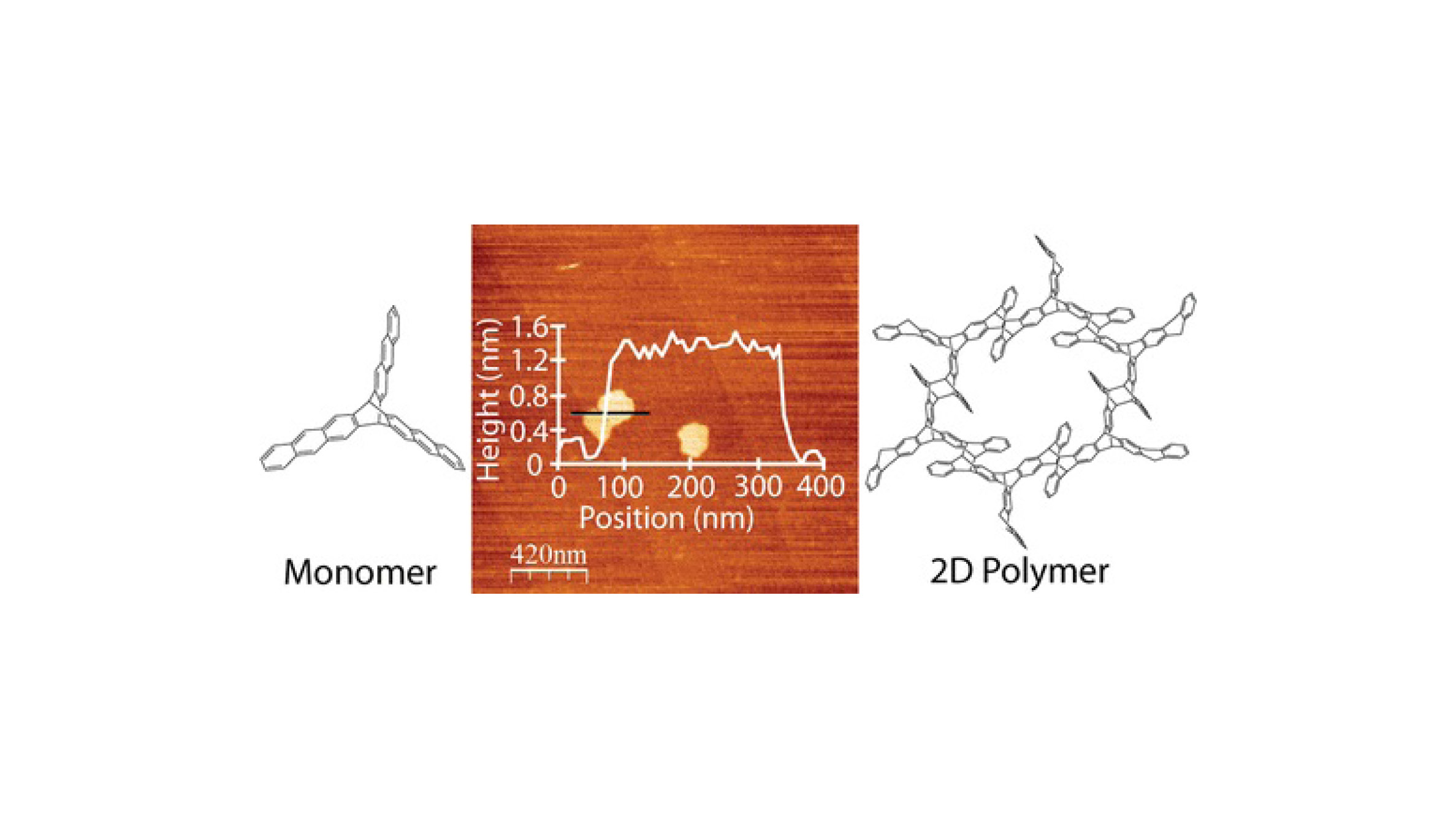 Monomer and 2D polymer